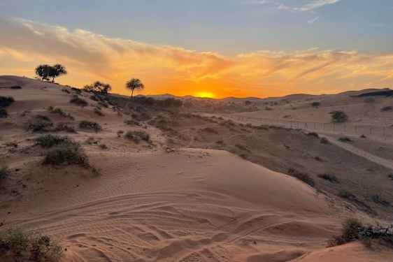 Al Wadi-ørkenen