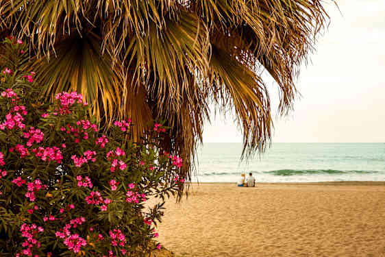Malaga