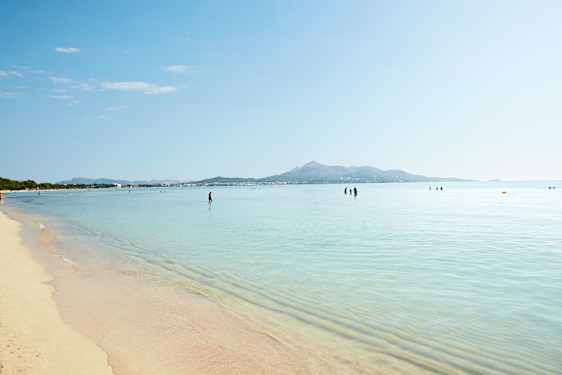 Alcudia