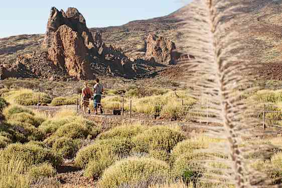 Folk vandrer op til Teide