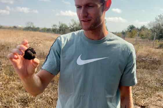 Mathias holder en trøffel