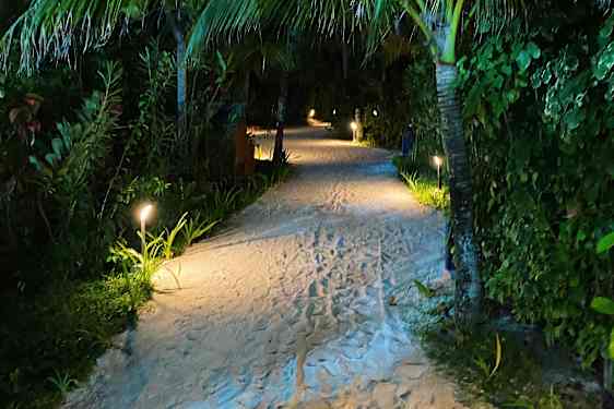 Opplyst sandsti omgitt av frodig vegetasjon om kvelden