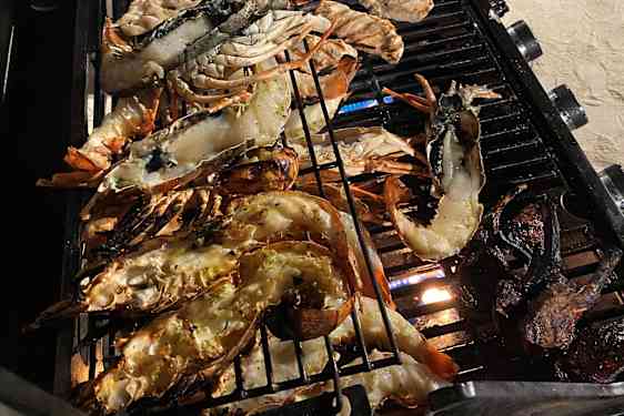 Skalldyr på grill på stranden