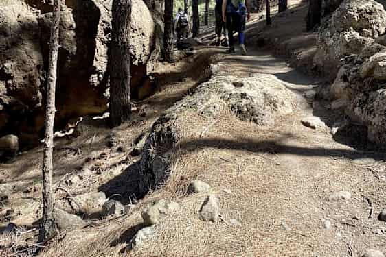 Vandringsled på Gran Canaria