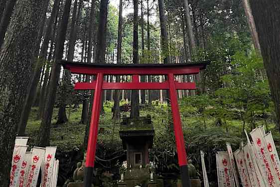 Torii-port i Sengokuhara, Hakone