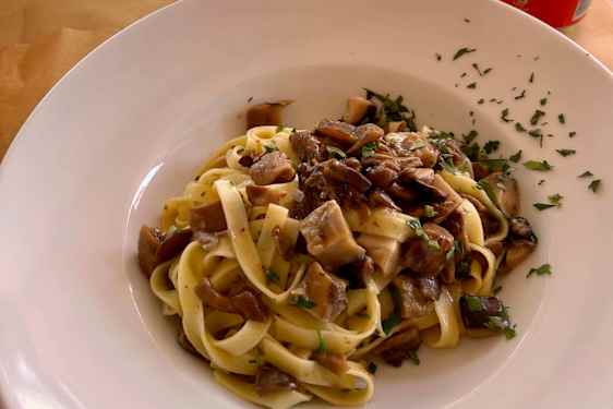 Pasta med sopp