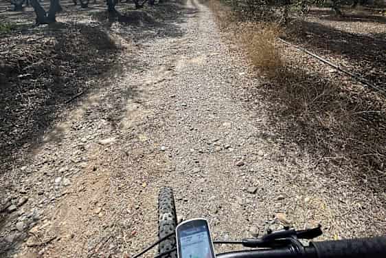 MTB i olivenlunden