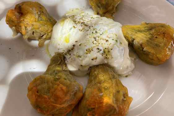 Succini Flowers
