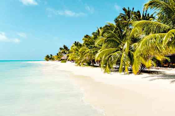 Maldivene