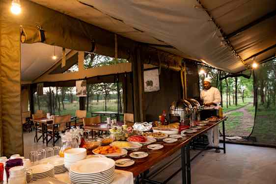 Serengati Kati Kati Camp