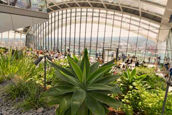 Sky garden