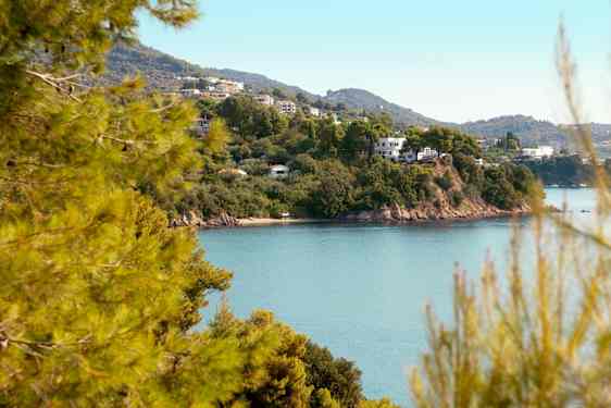 Strand på Skiathos
