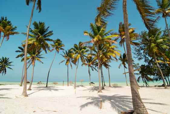 Strand på Zanzibar