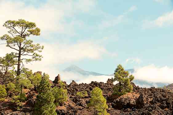 Tenerife