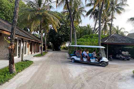 Hotellgjester i buggy blant palmene