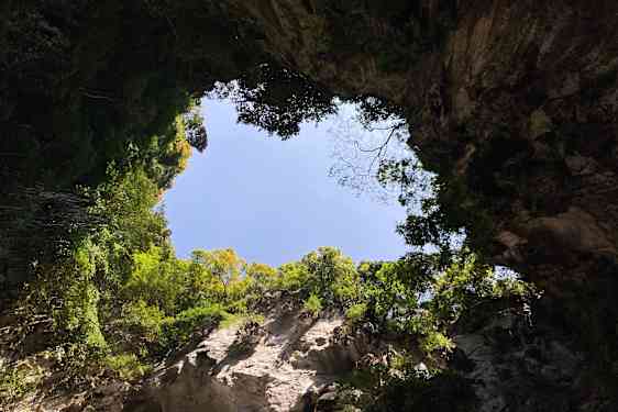 Naturen rundt Kuala Lumpur er heftig.