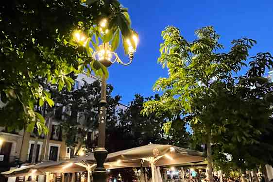 Plaza Santa Ana.
