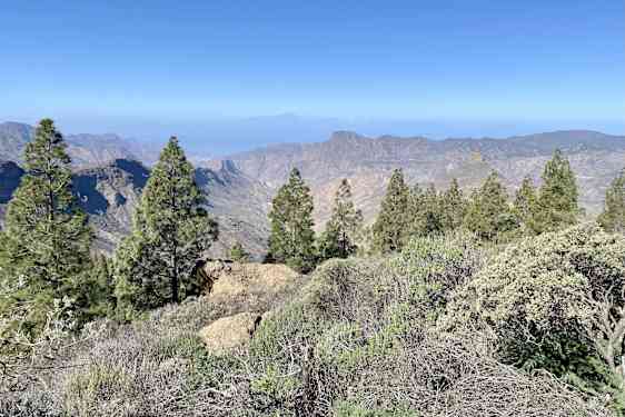 Surfing på Gran Canaria