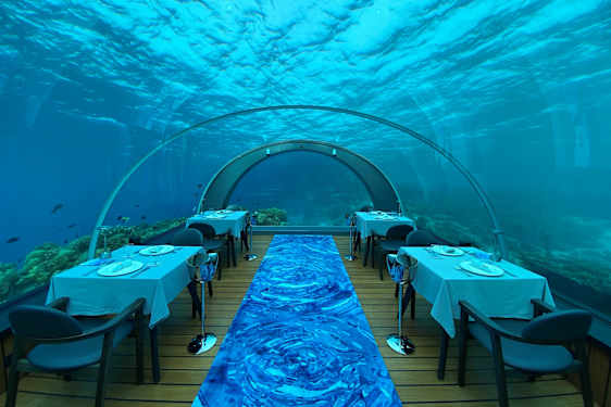 Restaurant med buet glasstak under havet