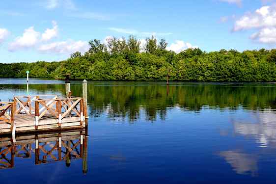 Everglades i Florida, USA