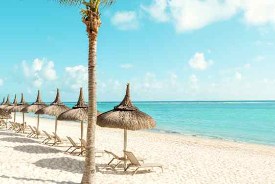 Palmer, solsenger og parasoller på kritthvit sandstrand ved det turkisblå havet på Mauritius