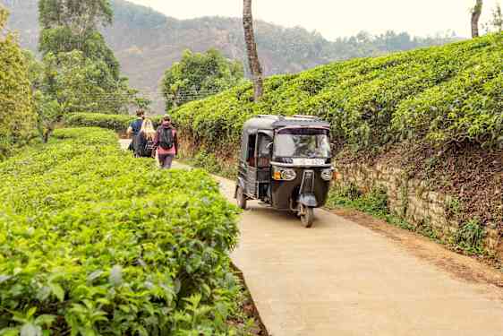 Tuk Tuk på Sri Lanka