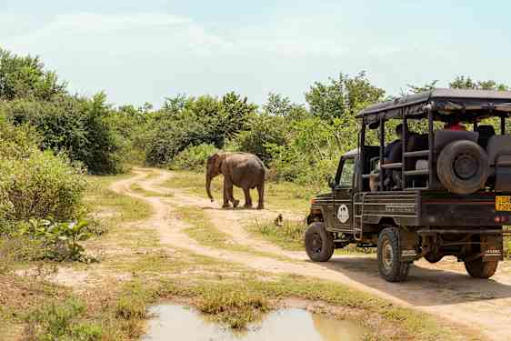 Sri Lanka