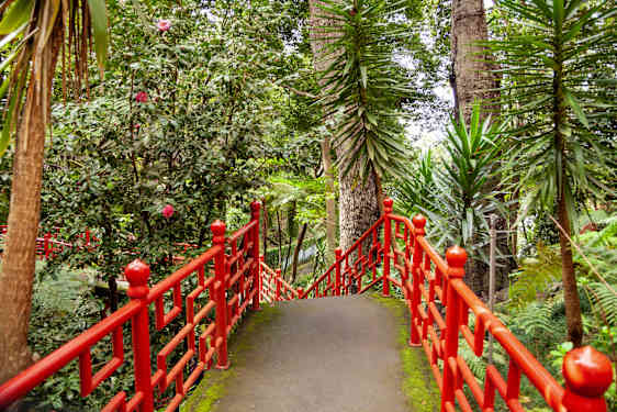 Botanisk hage i Funchal