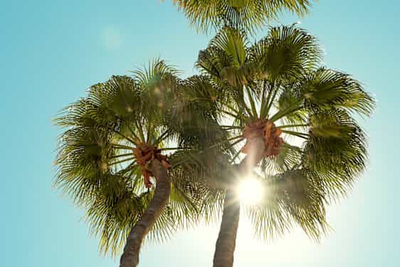 Larnaca