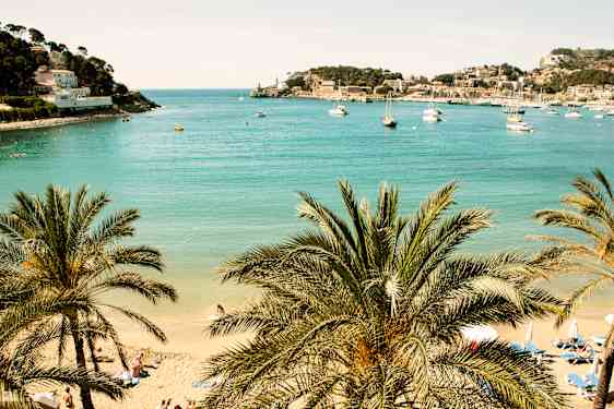 Strand med palmer og klarblått havVet du allerede at du vil dra på siste liten-reise til Mallorca? Klikk her for å gå direkte til Mallorcas siste liten-reiser.