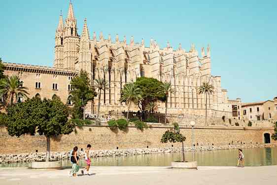 Palma by