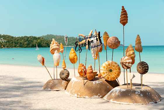 Skjell festet på pinner som en installasjon på stranden i Phuket, Thailand.