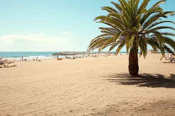 Surfer på Gran Canaria