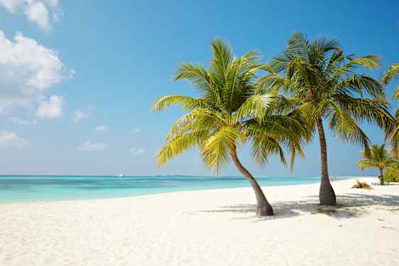 Maldivene