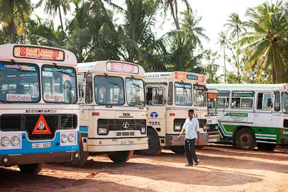bussar