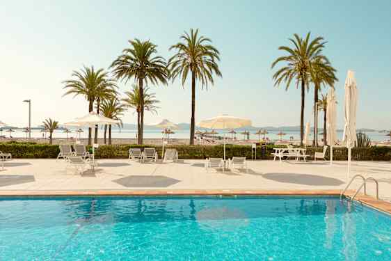 Nuevas Palmeras - basseng