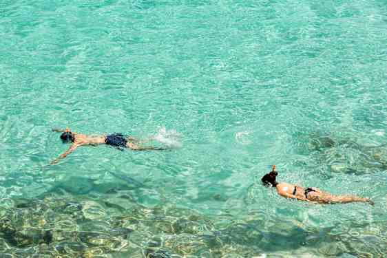 Et par snorkler i vannet på Mallorca