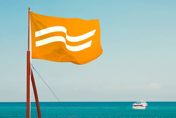 Flagg med Ving-logo