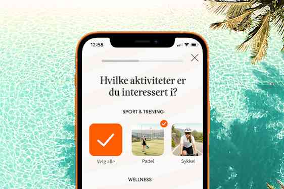 Vings feriehjelper