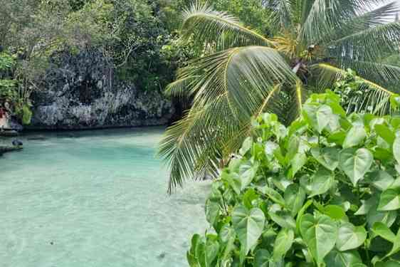 Natur