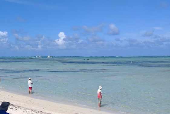 Øya Ile aux Cerfs utanfor Mauritius