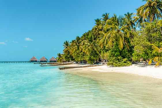 Vaker stille palmestrand på Maldivene