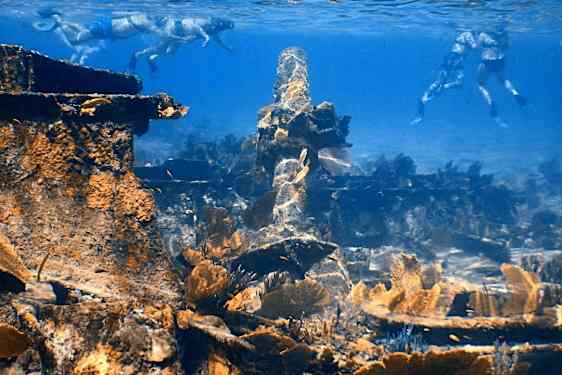 Snorkling.