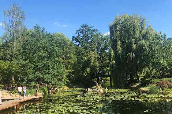 Skogspark – perfekt for en piknik