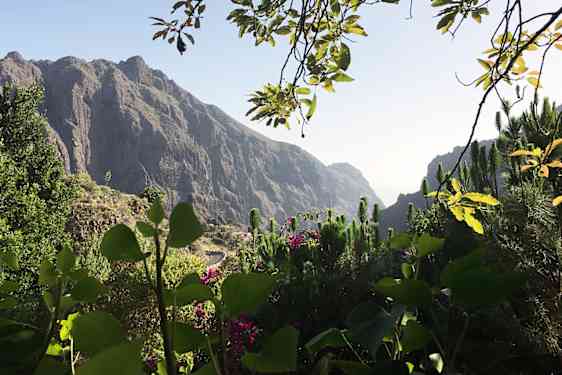 Mandal de Masca – Omgivelser