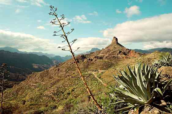Fotturer på Gran Canaria