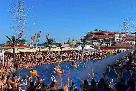 Mega Park Dolphin