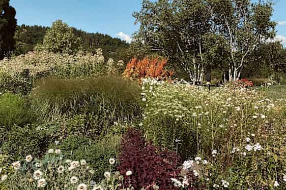 Den botaniske hagen