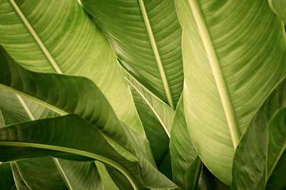 Miljøarbeid på Sunwing Family Resorts