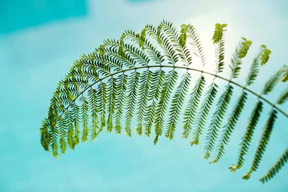 Tilgjengelighetserklæring